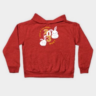 Year of the Rabbit Kids Hoodie